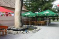 /album/fotogaleria/img-9682-jpg/